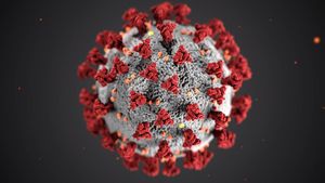 Инфекционист рассказал, как происходит эволюция штаммов коронавируса