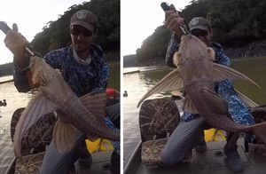Видео: Рыбак выловил уникальное существо, которое похоже на чудище
