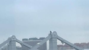 Мужчина забрался на возвышение Крымского моста в Москве и не хочет слезать. Видео