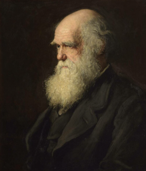 Что создал Чарльз Дарвин, история и список его изобретений и теорий