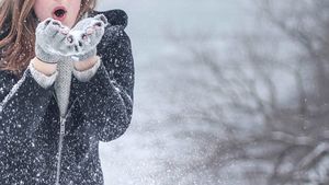 Снегопад и гололед ожидаются в Москве в ночь на 26 января