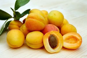 Соломатина рассказала, когда фрукты могут вызвать развитие рака