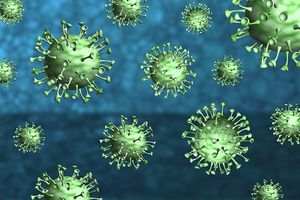 «Тревожный звоночек»: вирусолог назвал условие, при котором коронавирус NeoCoV станет опасным для людей