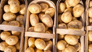 Батат против картошки: диетолог Соломатина рассказала, какой из этих продуктов полезнее