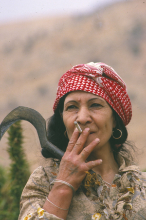 1985-1989. Успехи сельского хозяйства Ливана на снимках Франсуазы Демюльдер