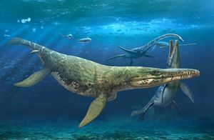 Анимация: Как выглядел океан, когда его воды населяли плезиозавры