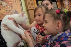 В приюте для животных рассказали, как устраивают кошек в семьи с детьми
