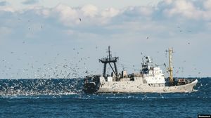 Как рыба-падальщик спасала Черное море. А ихтиолога даже не наградили