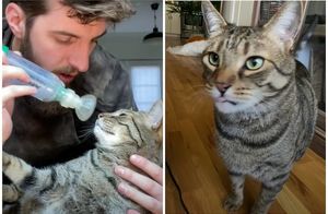 Видео: Мужчина решил стать лучшим хозяином для больного кота