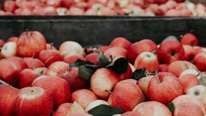 Нутрициолог перечислила пользу и вред яблок