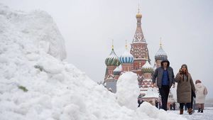 Почти 60 миллиметров снега выпало в Москве за январь