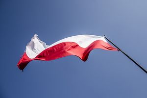 Экс-глава МИД Польши раскритиковал ФРГ из-за отказа поставлять оружие Украине