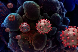 «Вирус не остановится»: вирусолог дал прогноз по развитию пандемии после «омикрона»