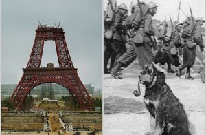 Строительство Эйфелевой башни и 15 других важных фото, говорящих о прошлом лучше слов