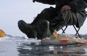 Остаться в живых: что нужно знать про лед, чтобы не сгинуть на зимней рыбалке