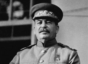Борщевик Сосновского: почему это ядовитое растение называют «месть Сталина»