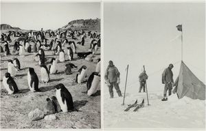 19 ретро фотографий из экспедиции Роберта Скотта на Южный полюс