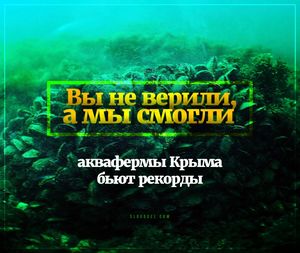 Санкции в глубоком «нокауте»: морские деликатесы Крыма «взорвали» рынок