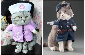 От медсестры до Кэтмена: 25 веселых котиков в тематических костюмах