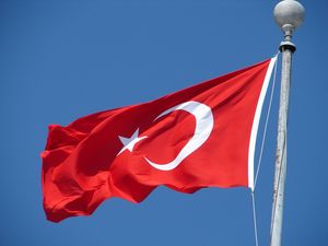 Турецкий политик призвал Анкару признать Крым российским