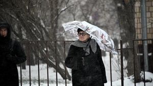 Синоптик сообщил, что циклон принесет потепление и мокрый снег в Петербург