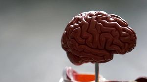 «Нарушение памяти»: врач рассказала, как коронавирус влияет на мозг