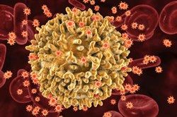 В Нидерландах обнаружен новый «высоковирулентный» штамм ВИЧ