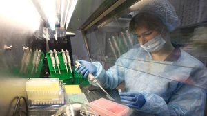 Сибирские ученые создали препарат против коронавируса