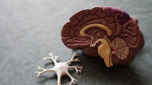 Невролог назвал признаки болезни Альцгеймера в молодом возрасте