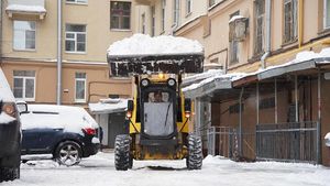 В Петербурге завели дела против занимающихся уборкой снега организаций