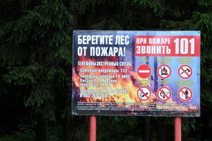В Подмосковье году закупят лесопожарную технику на сумму около 100 миллионов рублей