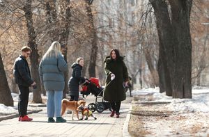Эксперт дала советы, как улучшить поведение собак на прогулке