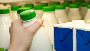 Россия получила право на экспорт молочной продукции в Таиланд