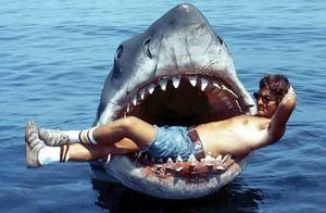 Почему акулы не так опасны, как показывают в фильмах, и еще 10 киношных мифов