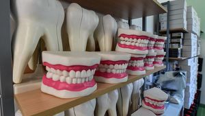 Эксперт дала советы по выбору стоматолога