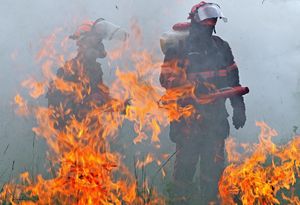 Свыше 37 тысяч мероприятий по пожарной безопасности было проведено в Москве на прошлой неделе