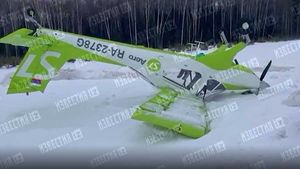 Легкомоторный самолет компании S7 упал в Подмосковье