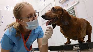 Ветеринар госветклиники ответил на самые популярные вопросы о вакцинации животных