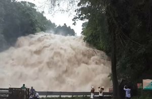 Видео: Что происходит, когда вода выходит из-под контроля