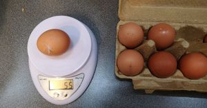 Почему большие куриные яйца нужно употреблять с осторожностью
