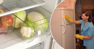 Чем отмыть холодильник за 2 минуты: простая хитрость