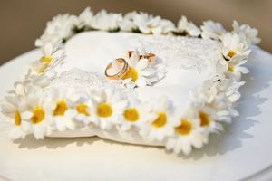 Названо число пар, решивших пожениться в «зеркальную дату» в Подмосковье