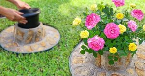 Идеальная огороженная мини-клумба для роз. Красота на участке за копейки