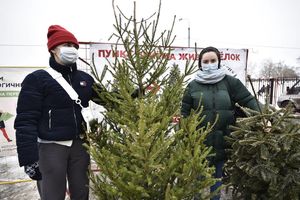 Москвичи сдали около 49 тысяч хвойных деревьев в рамках акции «Елочный круговорот»