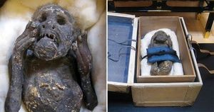 Мумия русалки найденная в Японии в XVIII