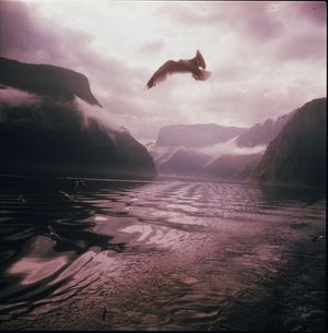 1970-е. Норвегия на снимках фотографа Пола Алмази. Часть 2