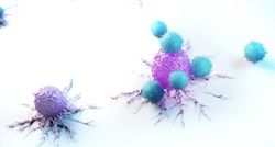 Ученые: Иммунные клетки регулируют массу тела