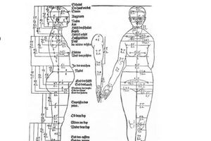 Идеальные пропорции женского тела по версии Дюрера 