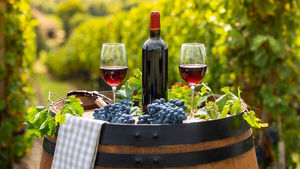 Чем заменить европейские вина: эксперт назвал семь стран-производителей