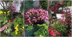 Удивительные идеи с яркими цветами, которые преобразят сад